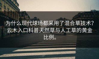 为什么现代球场都采用了混合草技术？云木入口科普天然草与人工草的黄金比例。