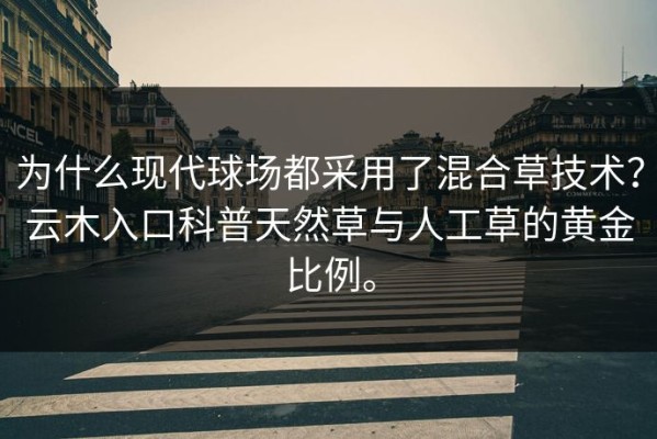 为什么现代球场都采用了混合草技术？云木入口科普天然草与人工草的黄金比例。