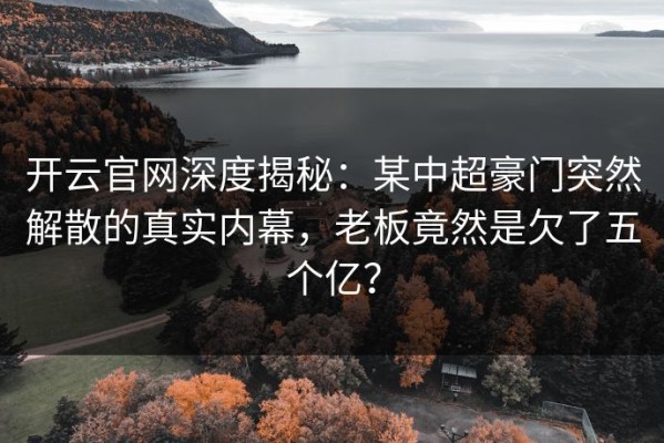 开云官网深度揭秘：某中超豪门突然解散的真实内幕，老板竟然是欠了五个亿？