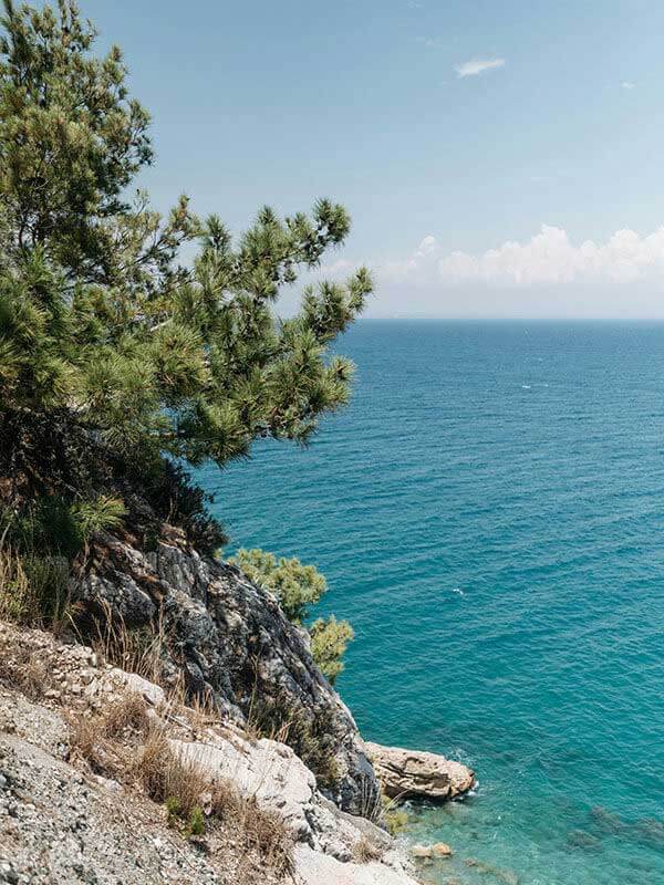 爆料：某知名教头已经秘密接触沙特豪门，开云官网的流言板已经更新了。