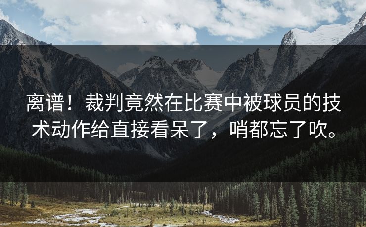 离谱!裁判竟然在比赛中被球员的技术动作给直接看呆了,哨都忘了吹。 离谱!裁判竟然在比赛中被球员的技术动作给直接看呆了,哨都忘了吹。