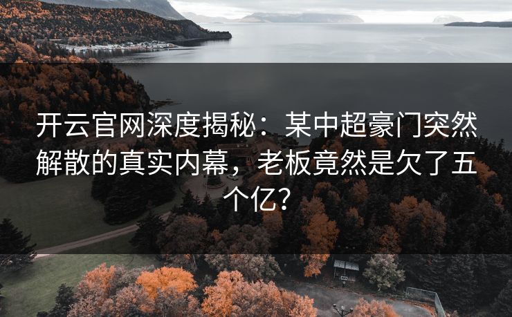 开云官网深度揭秘:某中超豪门突然解散的真实内幕,老板竟然是欠了五个亿? 开云官网深度揭秘:某中超豪门突然解散的真实内幕,老板竟然是欠了五个亿?