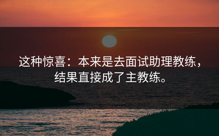这种惊喜:本来是去面试助理教练,结果直接成了主教练。 这种惊喜:本来是去面试助理教练,结果直接成了主教练。